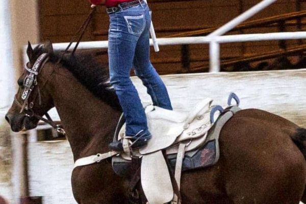 USTPA Team Penning - Rider with American Flag
