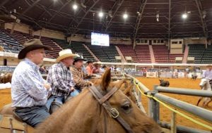 USTPA – United States Team Penning Association